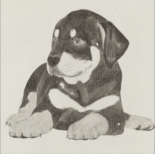 李军《肖像-dog  No.2》  纸本水墨  60×60cm  2015年.jpg